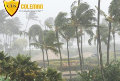 colemanagencyfl.com
