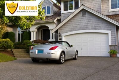 colemanagencyfl.com